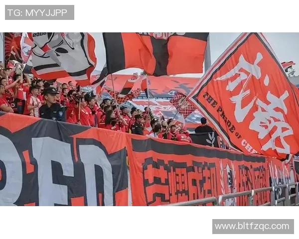 成都足球队心理素质引发热议球迷与专家的不同声音分析