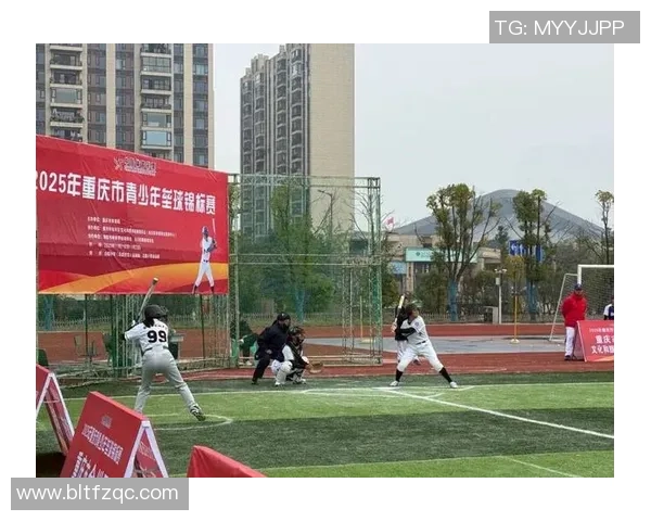 成都排球队耐力变革引发热议助力竞技水平提升与团队协作创新